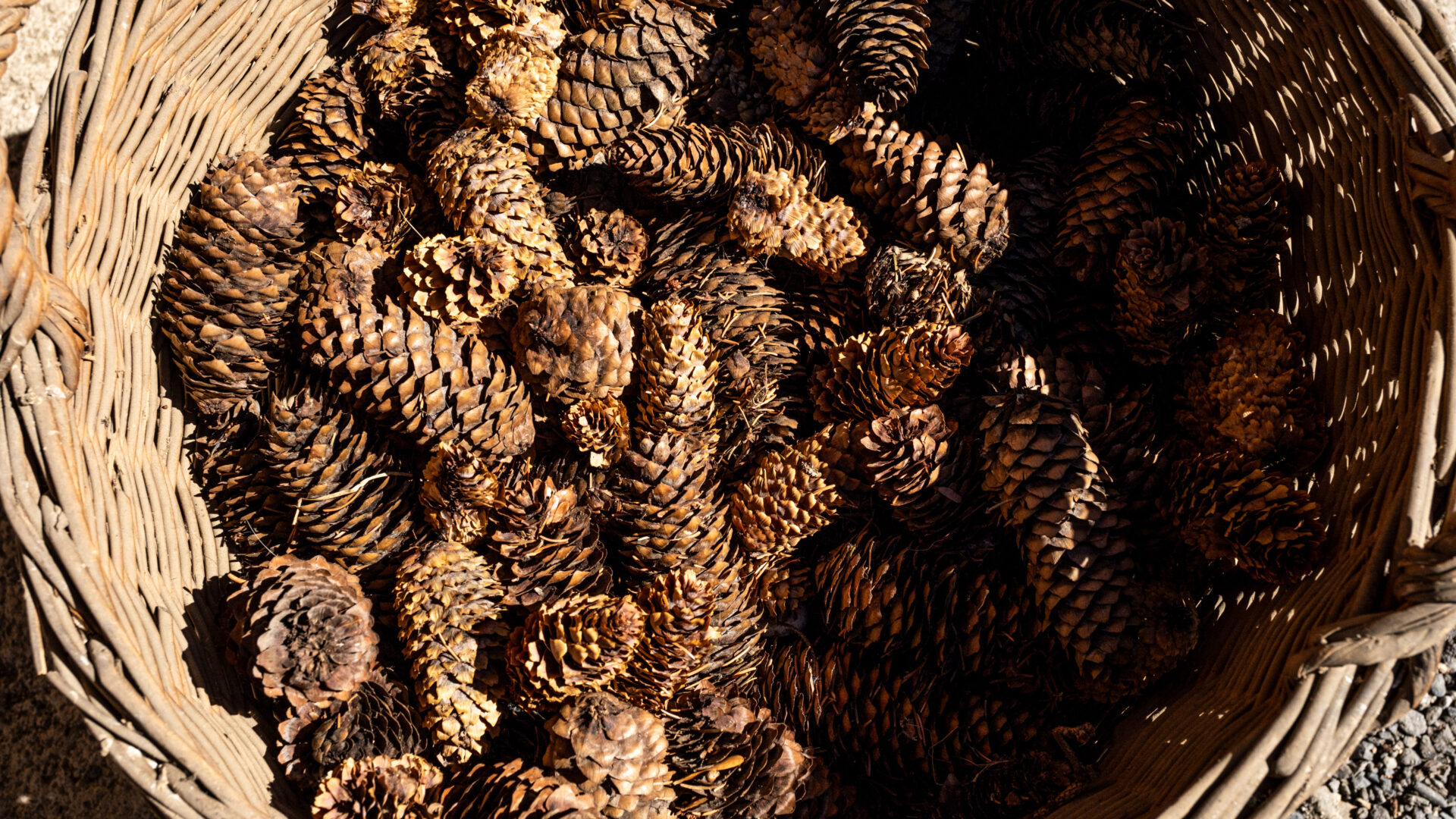 2023_09_30_Francesc Vidal Can Janet_DSF0132