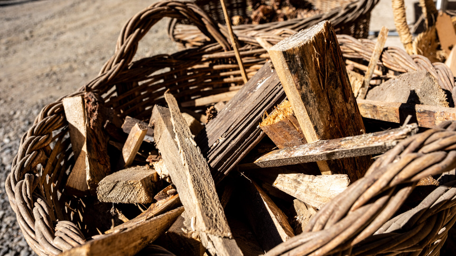 2023_09_30_Francesc Vidal Can Janet_DSF0151