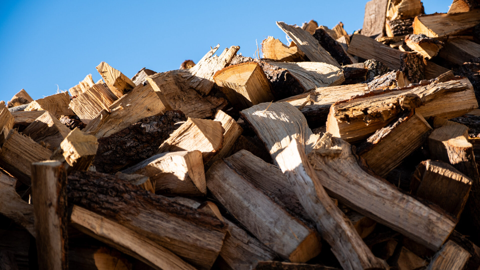 2023_09_30_Francesc Vidal Can Janet_DSF9799