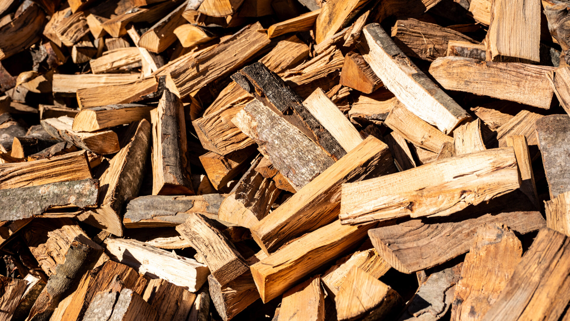 2023_09_30_Francesc Vidal Can Janet_DSF9832