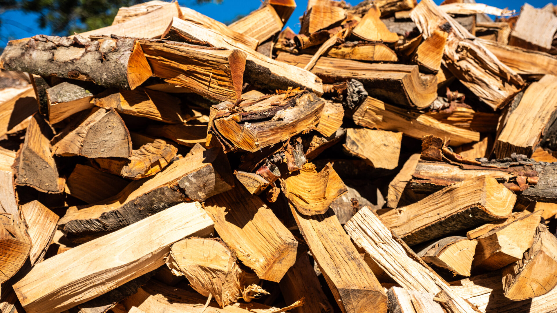 2023_09_30_Francesc Vidal Can Janet_DSF9858