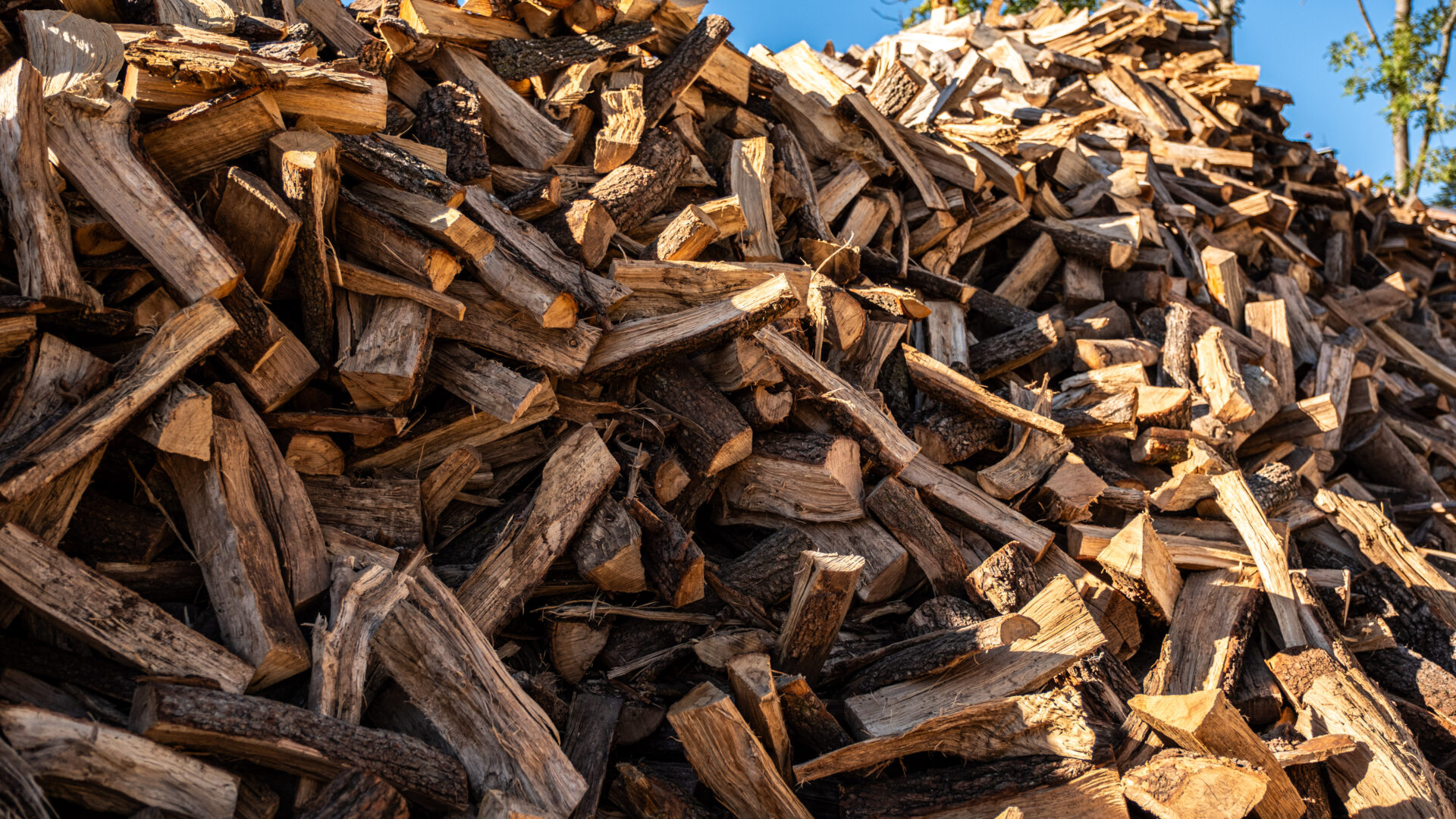 2023_09_30_Francesc Vidal Can Janet_DSF9860