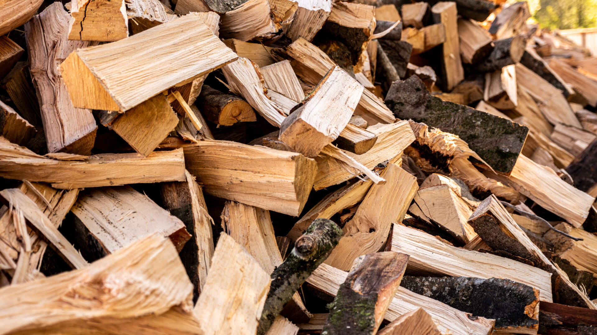 2023_09_30_Francesc Vidal Can Janet_DSF9913