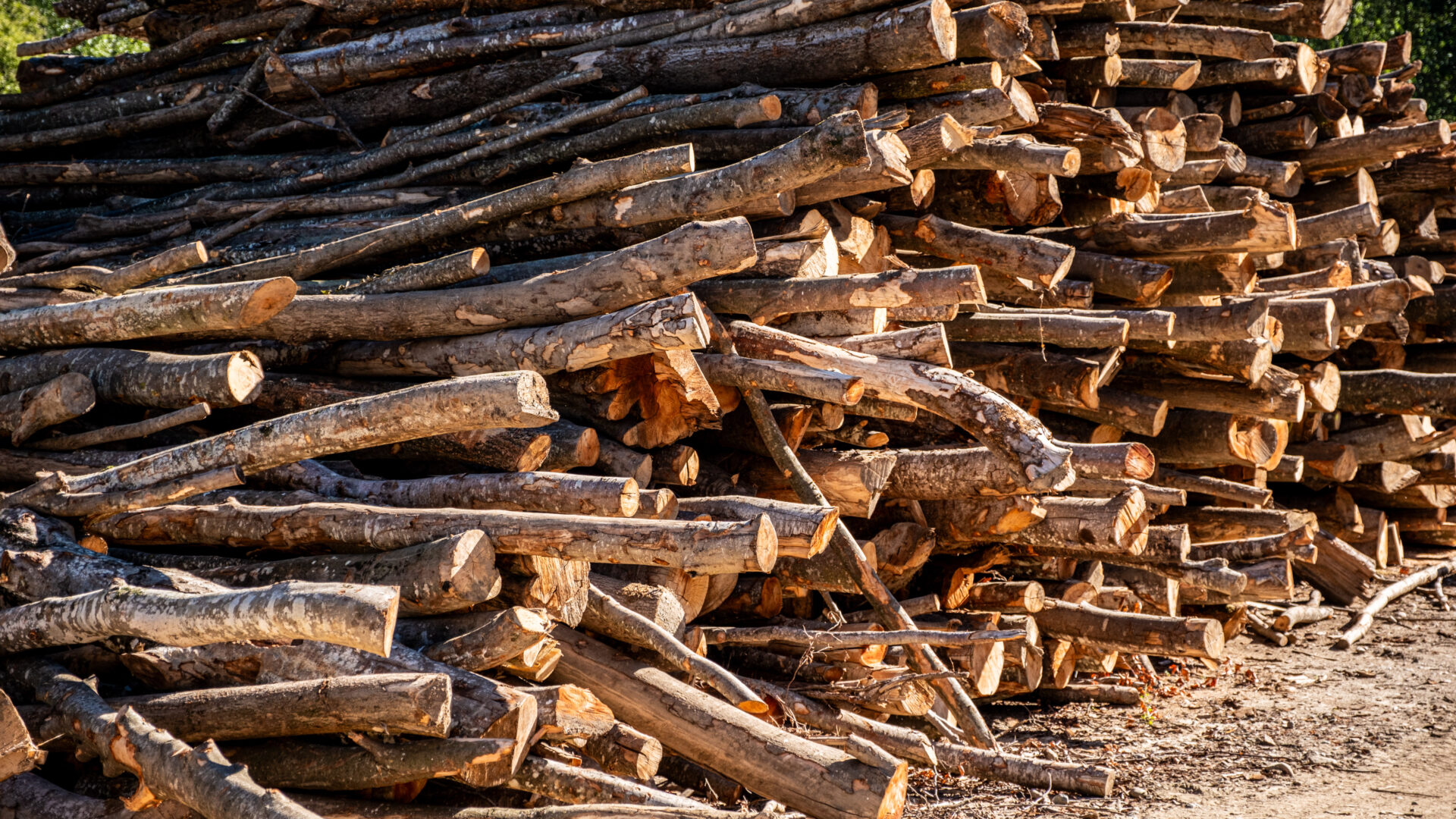 2023_09_30_Francesc Vidal Can Janet_DSF9914