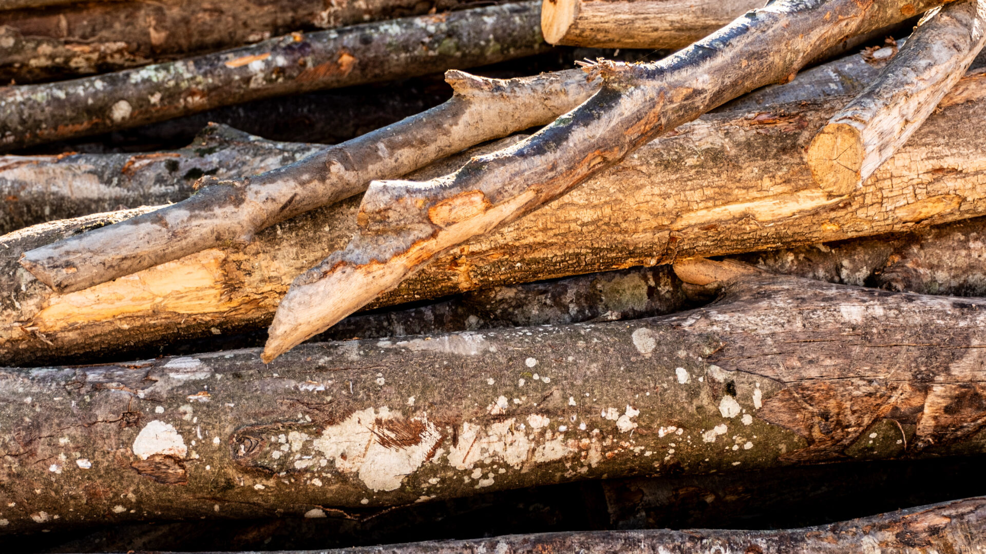 2023_09_30_Francesc Vidal Can Janet_DSF9915