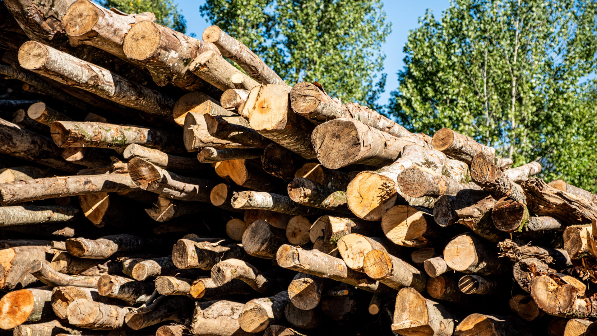 2023_09_30_Francesc Vidal Can Janet_DSF9945